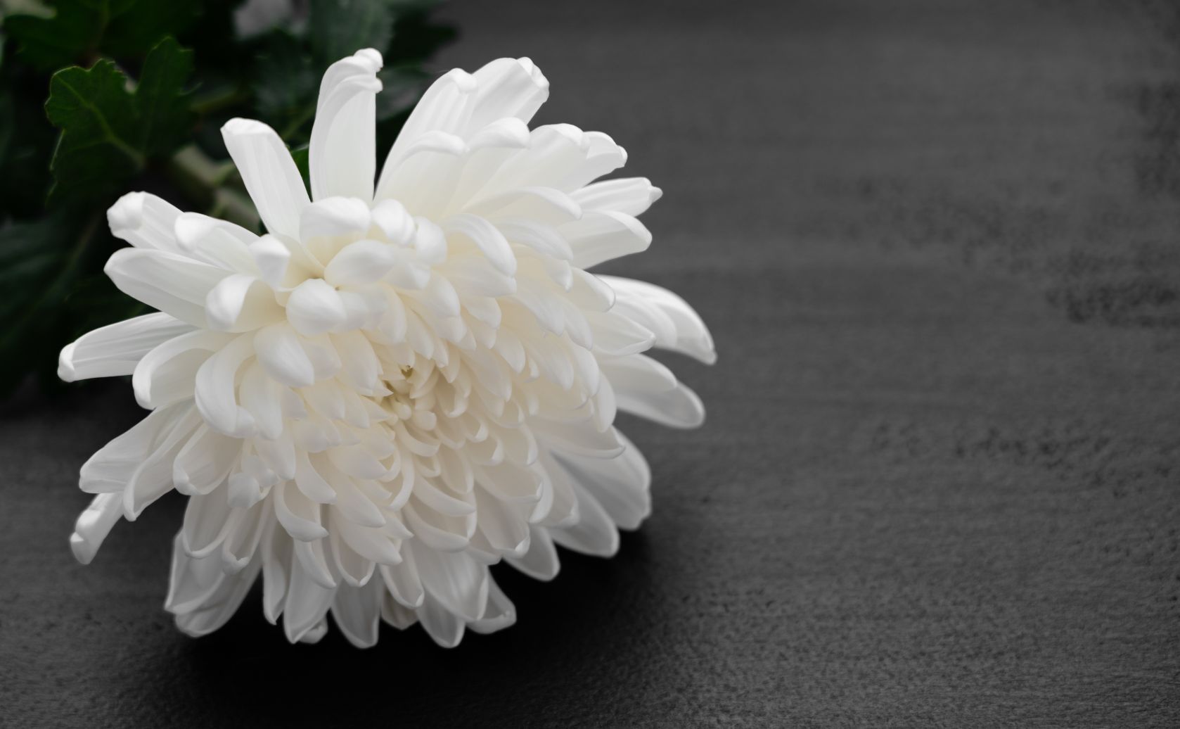 お仏壇・墓石の山崎 「はじめてのお仏壇セット